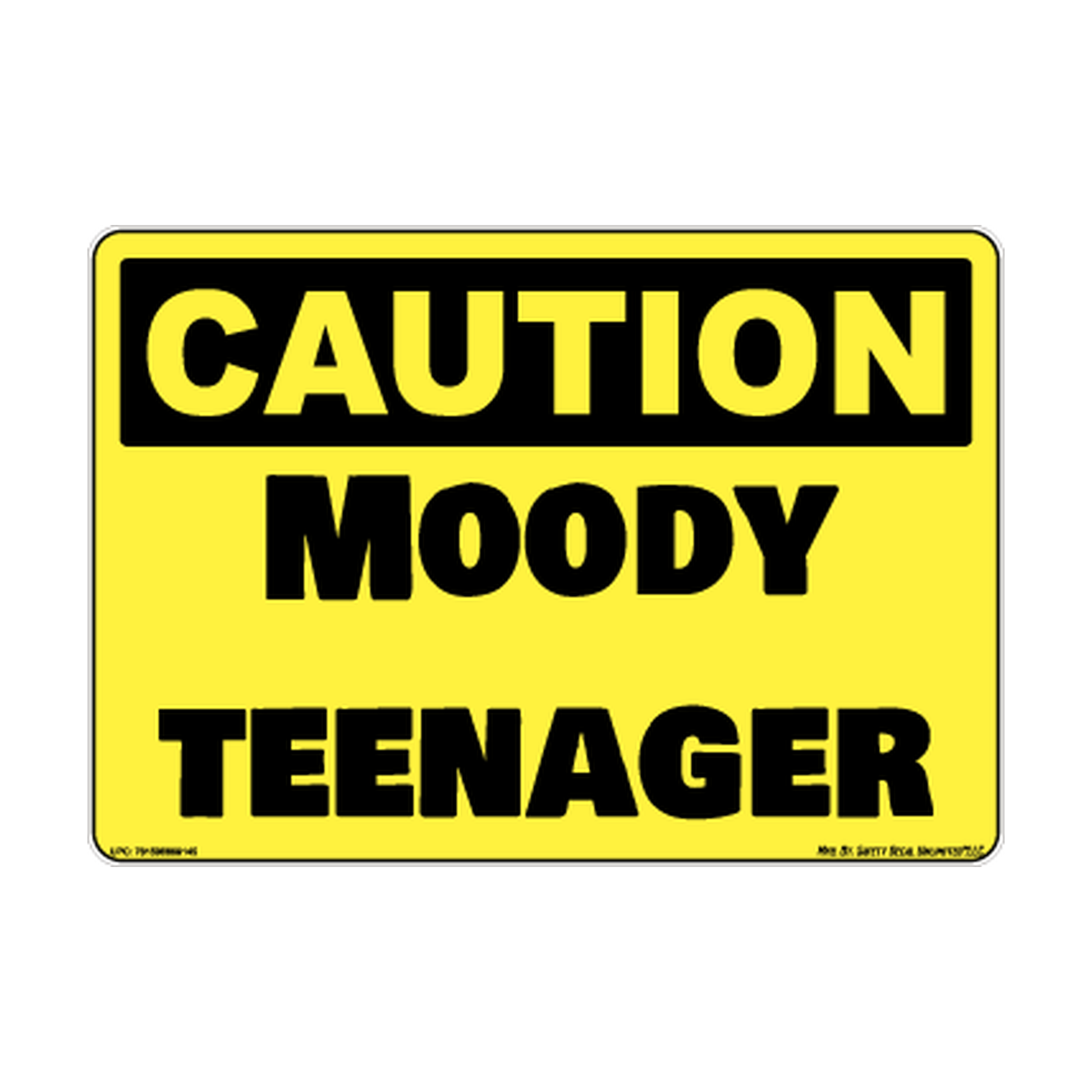 Caution Moody Teenager Safety Sticker Decal