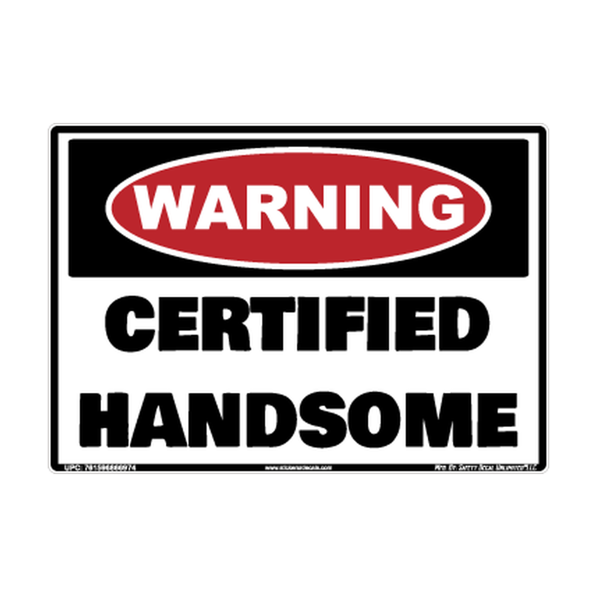 Warning Certified Handsome Safety Sticker Decal