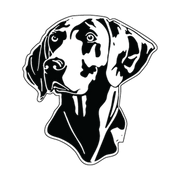 Forward-facing Weimaraner dog head with long folded ears, alert eyes and long muzzle in single-color vinyl